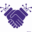 Articoolo