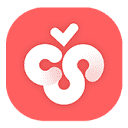 CherryStudio