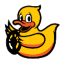 Duckietown