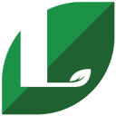 Leaves – Life Stories
