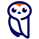 Owl at Work