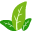 Cleanpng | KissPNG