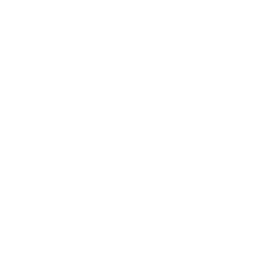 Dataiku