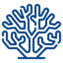 Coral AI