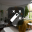 Room AI