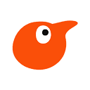 Ping Parrot