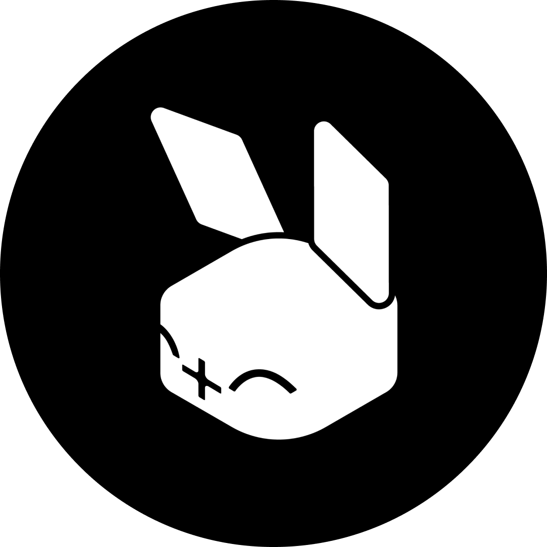 r1 by rabbit
