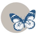 sephirus
